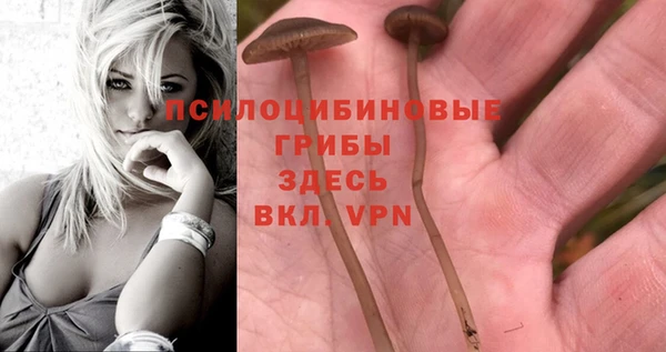 ALPHA PVP Алзамай