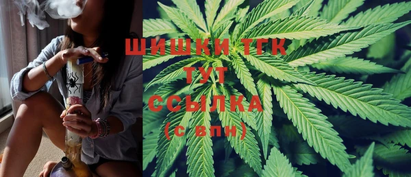 соль ск Алексеевка